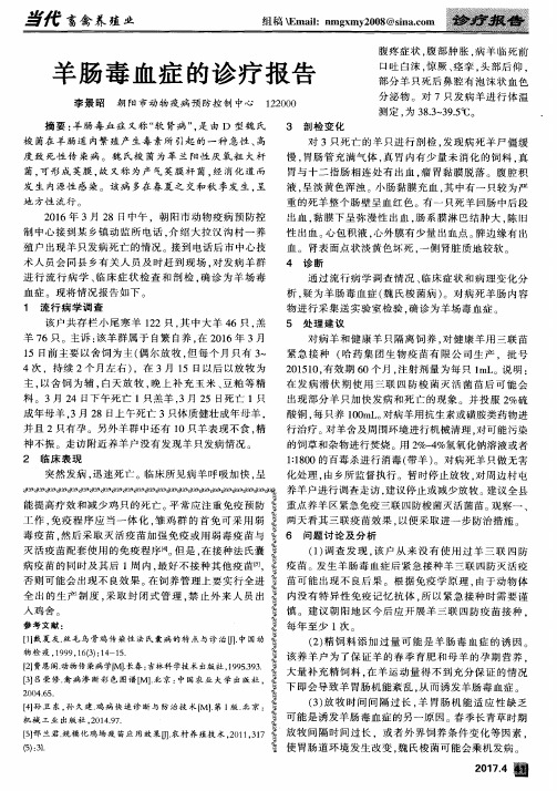 羊肠毒血症的诊疗报告