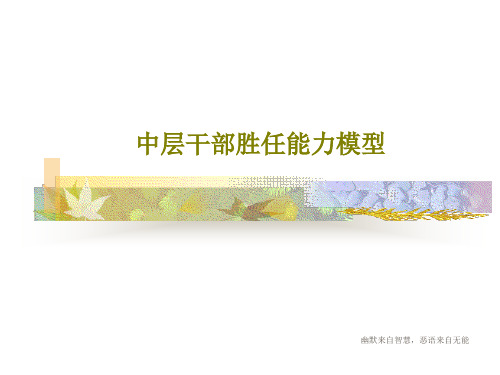 中层干部胜任能力模型共48页