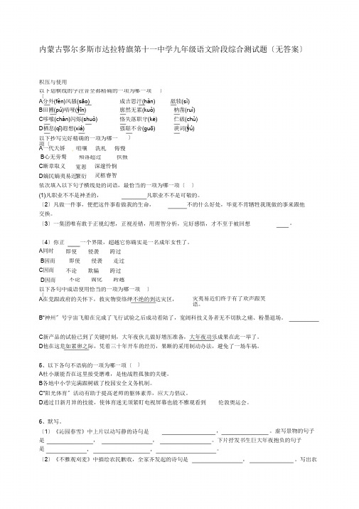内蒙古鄂尔多斯市达拉特旗第十一中学九年级语文阶段综合测试题