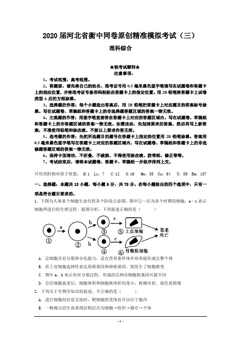2020届河北省衡中同卷原创精准模拟考试(三)理科综合试题