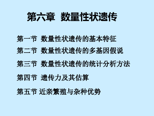 遗传学 第六章 数量性状遗传