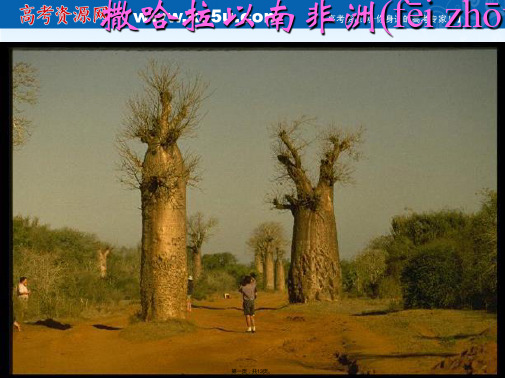 高考世界地理新课标撒哈拉以南非洲复习课件张