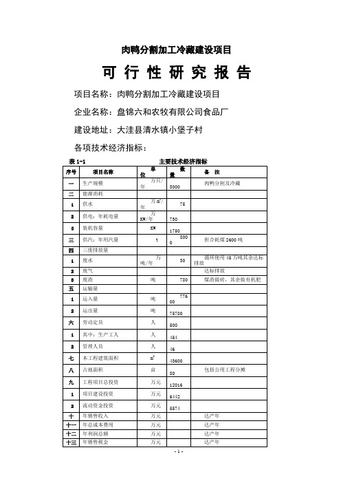 肉鸭宰杀加工可行性研究报告