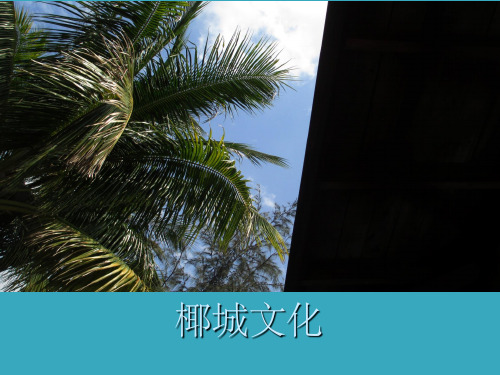 海口文化ppt课件