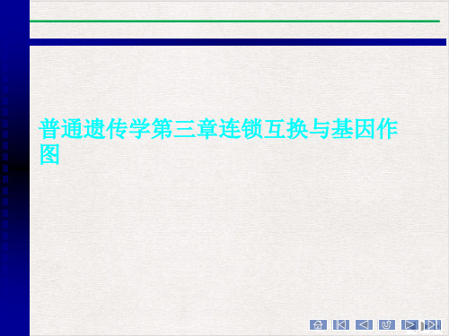 普通遗传学第三章连锁互换与基因作图ppt课件