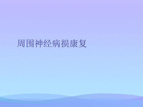 周围神经病损康复精品PPT资料