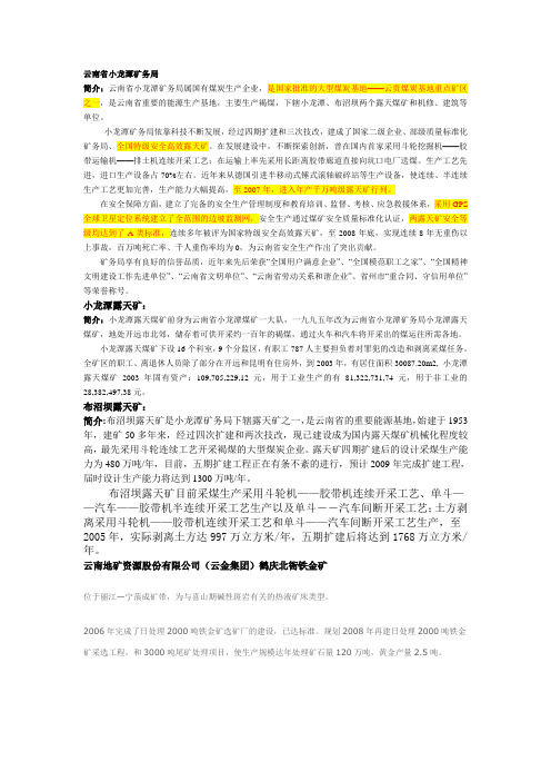 云南露天矿查询结果