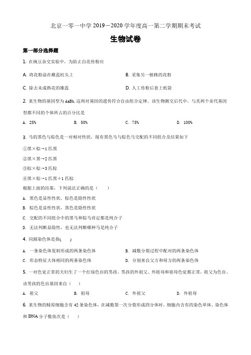 北京市海淀区101中2019-2020学年高一下学期期末生物试题(原卷版)