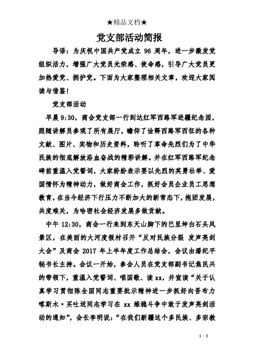党支部活动简报