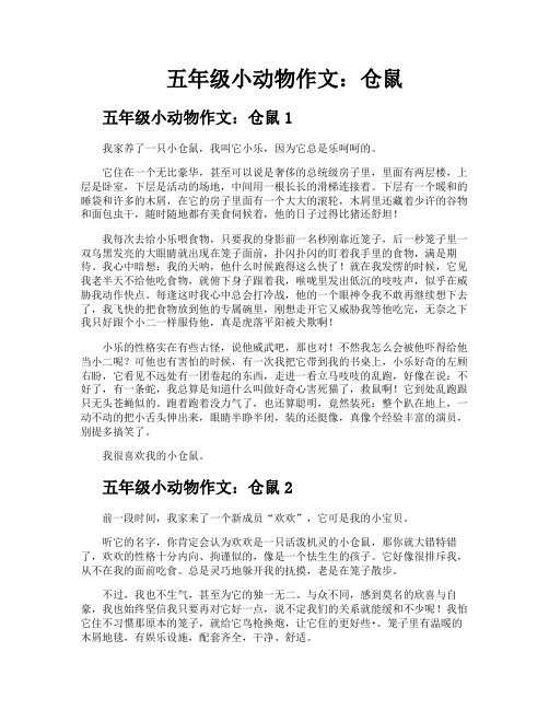 五年级小动物作文仓鼠