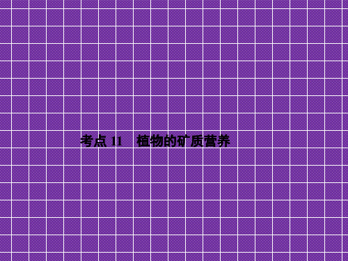 2012高考生物《导与练》一轮复习课件第2单元考点11植物的矿质营养