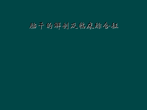 脑干的解剖及临床综合征