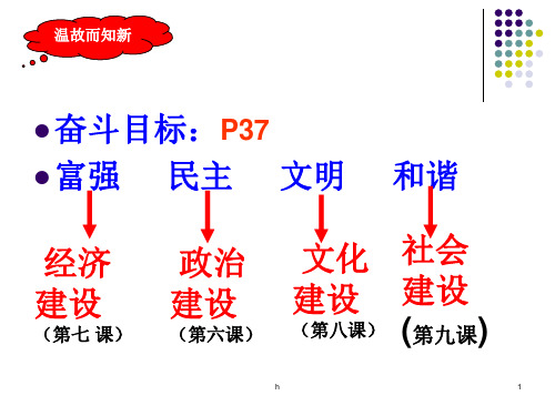 九年级政治第六课第一框  第一课时(上课用)
