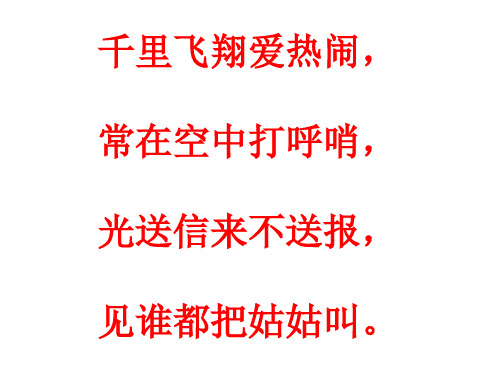 白鸽PPT课件