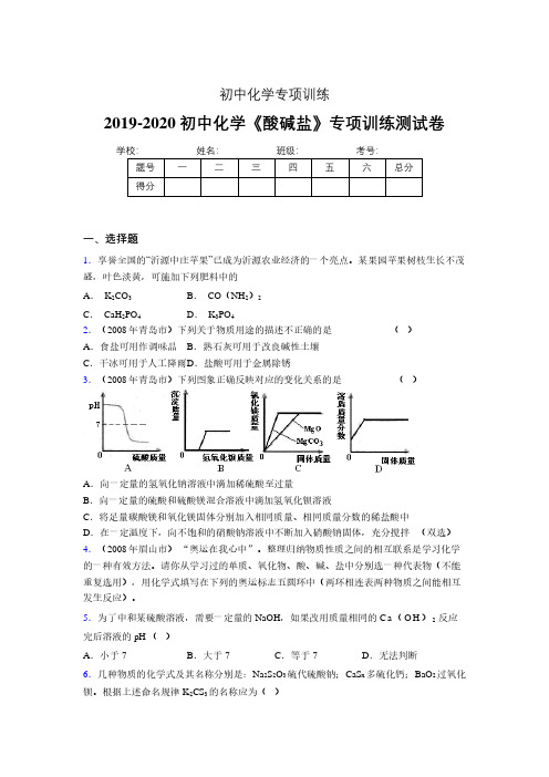 (中考)《酸碱盐》专项训练模拟测试(含答案)  (500)