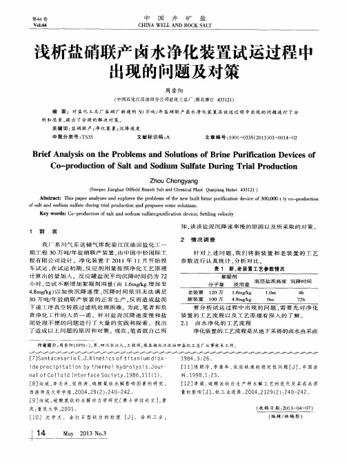 浅析盐硝联产卤水净化装置试运过程中出现的问题及对策