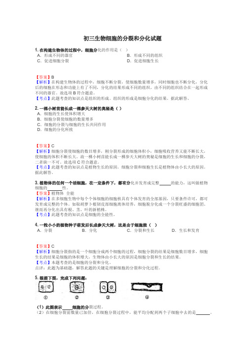 初三生物细胞的分裂和分化试题
