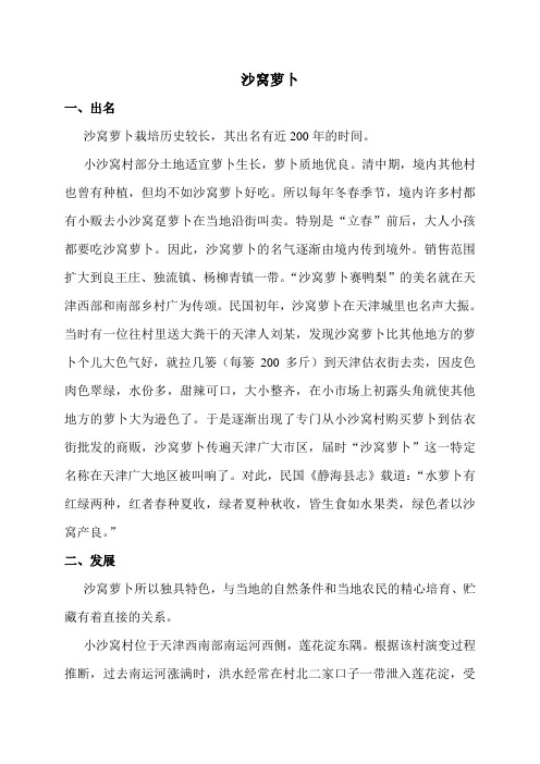 沙窝萝卜介绍(乡志)