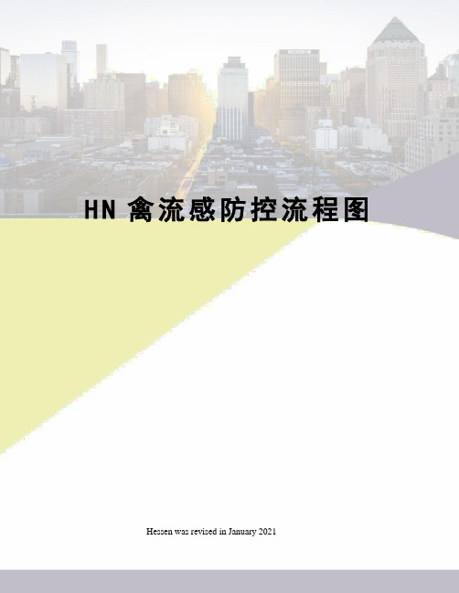 HN禽流感防控流程图