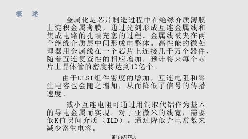 金属化工艺PPT课件
