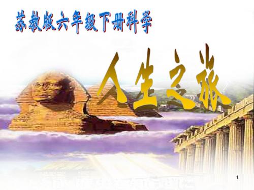 苏教版六年级下册科学人生之旅ppt课件