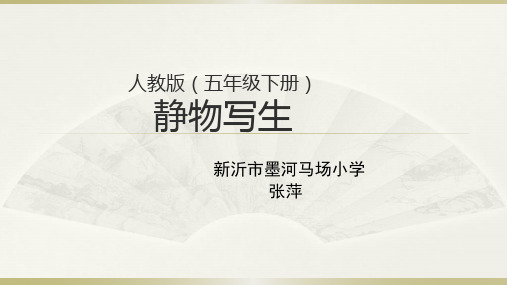 人教版五年级下册美术《第5课 静物写生》