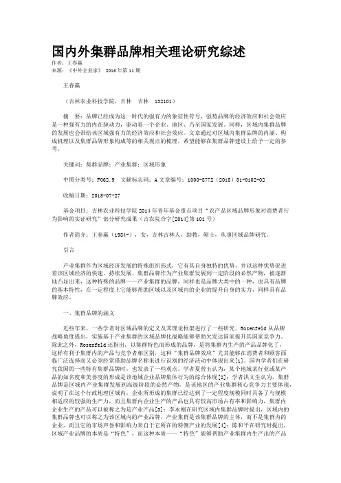 国内外集群品牌相关理论研究综述