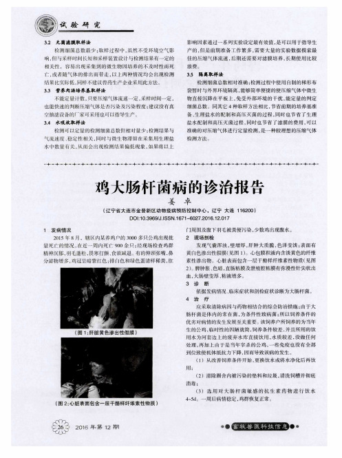 鸡大肠杆菌病的诊治报告
