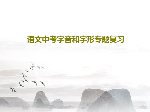 语文中考字音和字形专题复习共108页文档