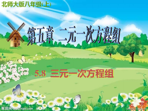 北师大版八年级数学上学期课件5.8三元一次方程组