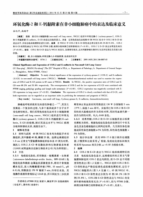 环氧化酶-2和E-钙黏附素在非小细胞肺癌中的表达及临床意义
