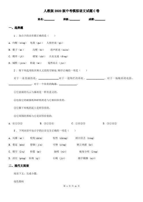 人教版2020版中考模拟语文试题C卷