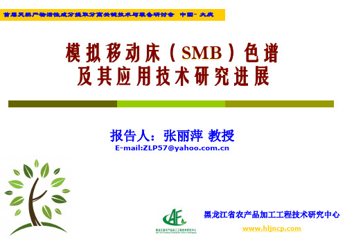 模拟移动床