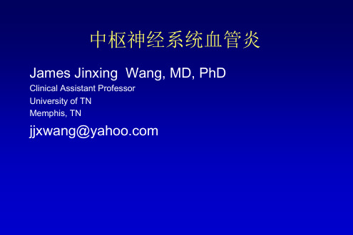 中枢神经系统血管炎ppt课件