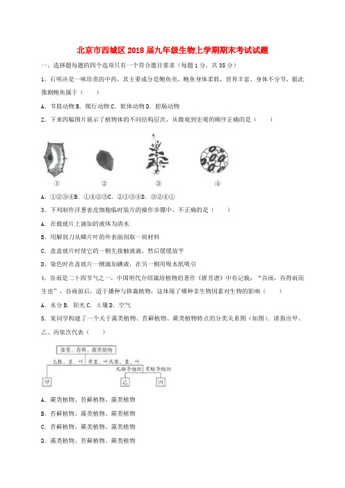 2018届九年级生物上学期期末考试试题(1)