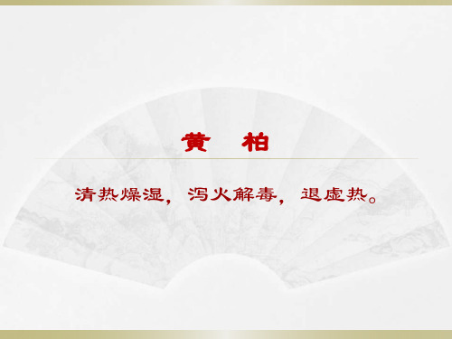 黄柏