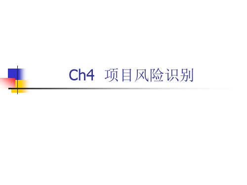 ch4项目风险识别