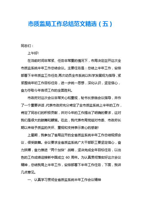 市质监局工作总结范文精选(五)