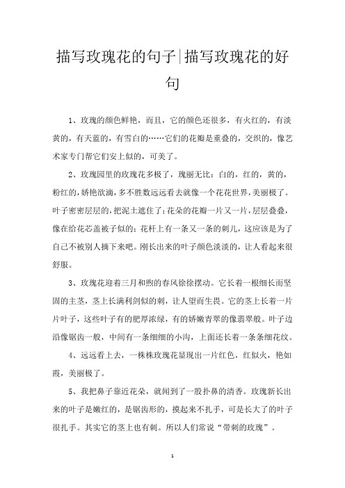 描写玫瑰花的句子-描写玫瑰花的好句