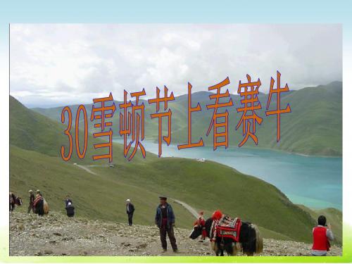 语文S版语文三年级下册优质课件第8单元30雪顿节上看赛牛.ppt
