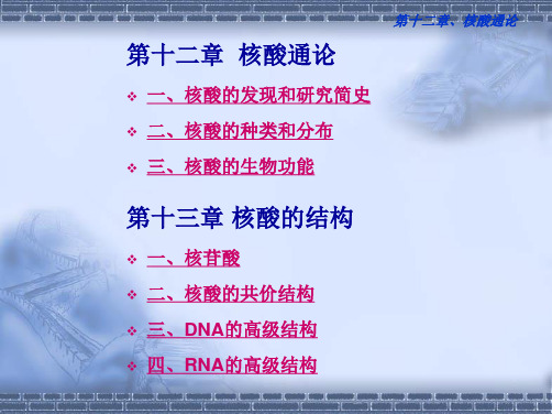 章核酸通论结构
