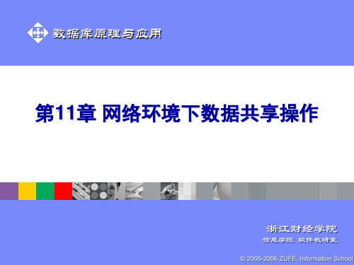 第11章网络环境下数据共享操作