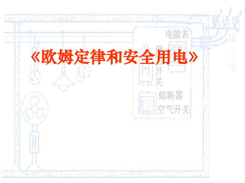 八年级物理欧姆定律和安全用电(2019)