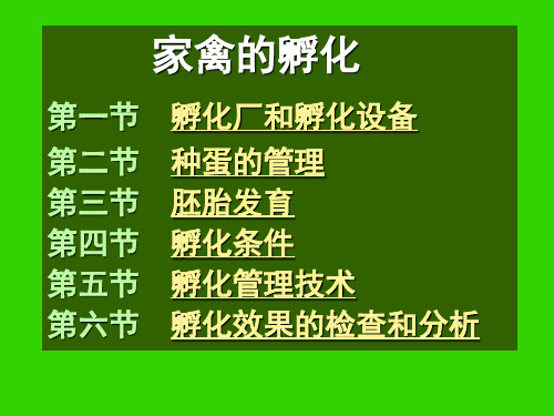 家禽的人工孵化