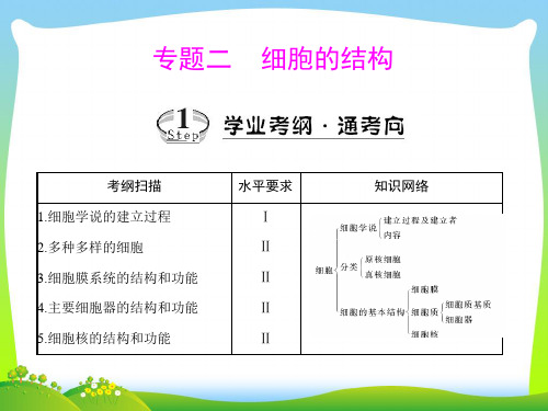 细胞学说的建立过程-课件