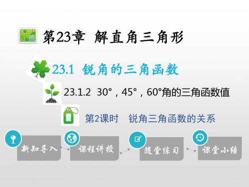 23.1.2 30°,45°,60°角的三角函数值 第2课时锐角三角函数的关系