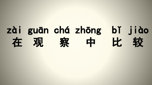 一年级上科学导学课件：在观察中比较教科版