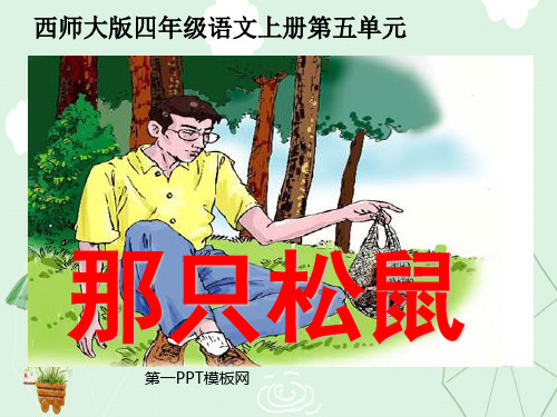 西师大版小学四年级上册语文第18课《那只松鼠》课件PPT
