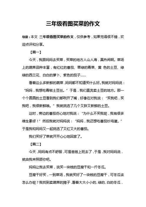 三年级看图买菜的作文