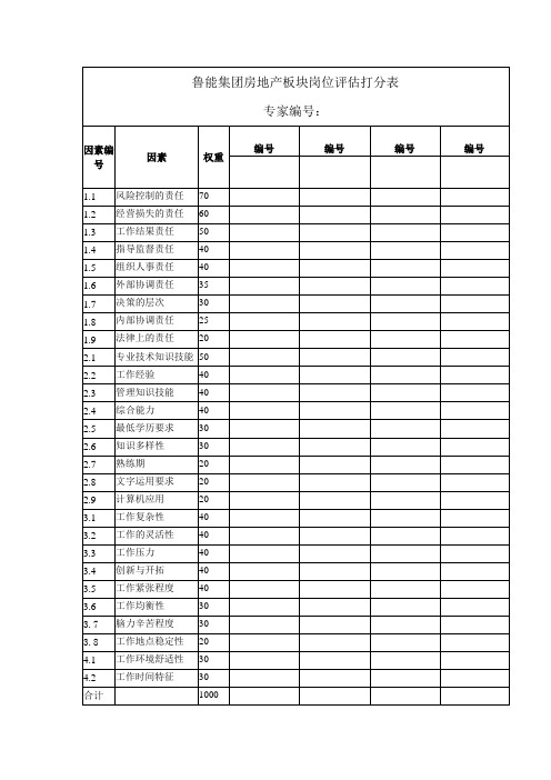 1019 鲁能打分表.doc